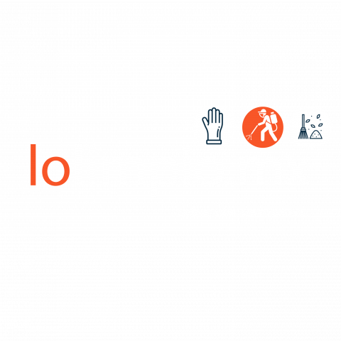 logo lo limpio mx